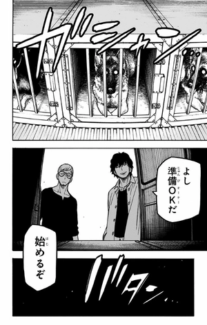 bộ spy x family 4 - Ảnh 11