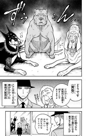 bộ spy x family 4 - Ảnh 14