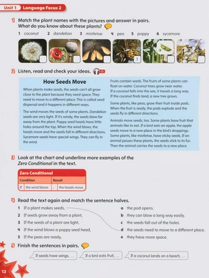 bộ starlight: level 5: student book - Ảnh 10