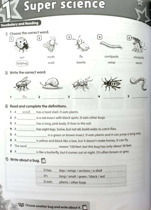 bộ starlight: level 5: workbook - Ảnh 6