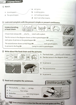 bộ starlight: level 5: workbook - Ảnh 8