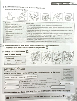 bộ starlight: level 5: workbook - Ảnh 9