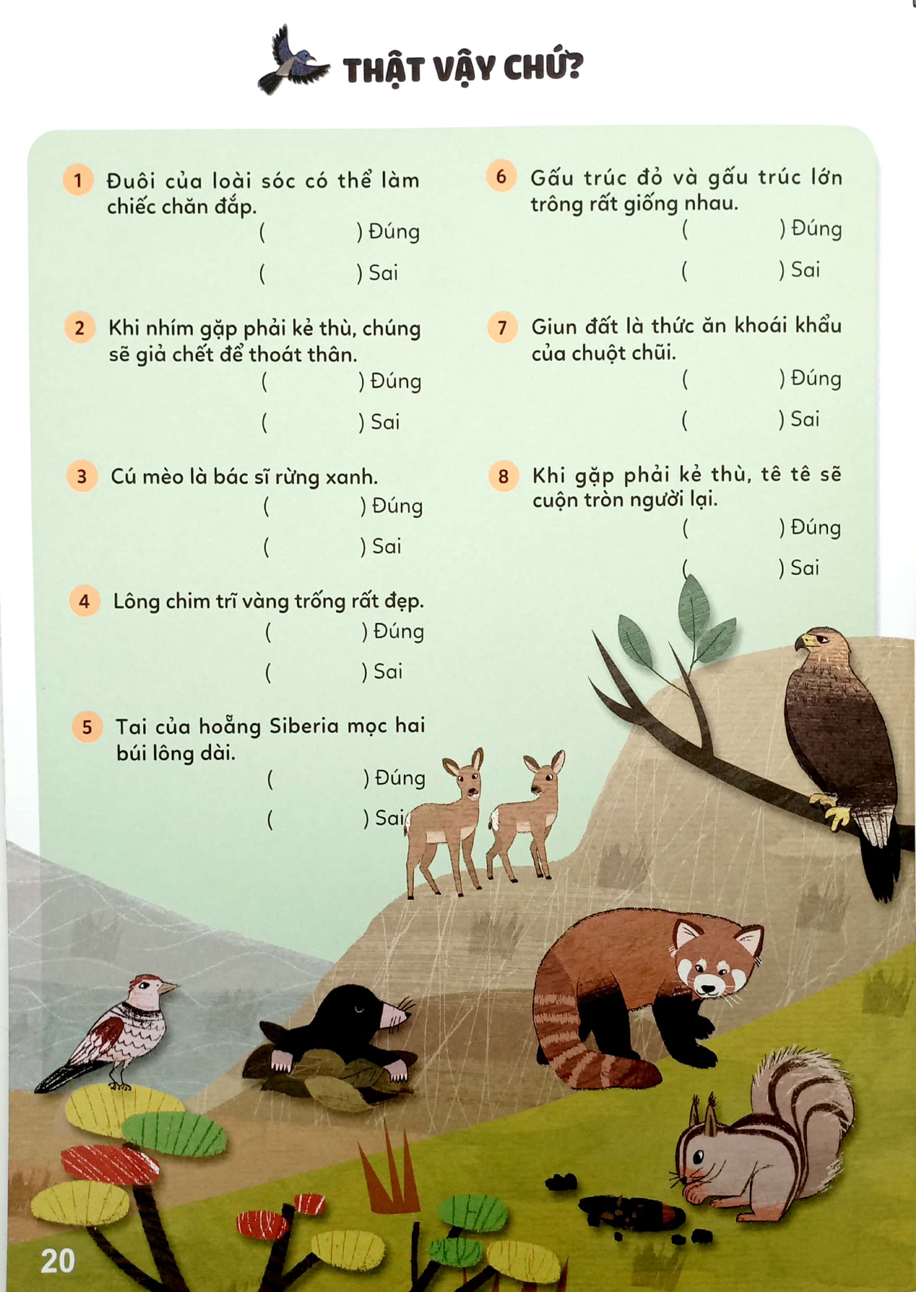 bộ sticker bước vào thế giới thiên nhiên kỳ thú - tập 2 - bí mật rừng rậm - Ảnh 3