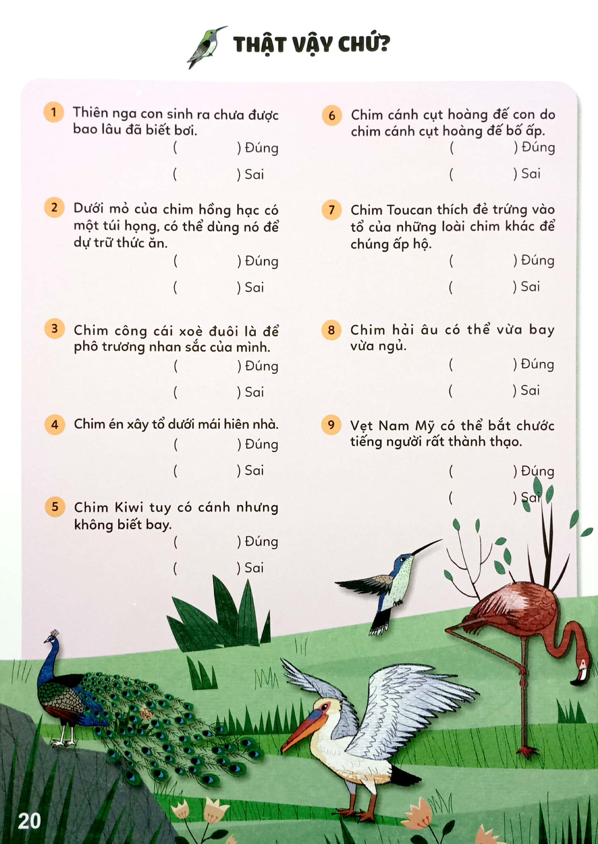 bộ sticker bước vào thế giới thiên nhiên kỳ thú - tập 2 - muôn vàn các loài chim - Ảnh 3