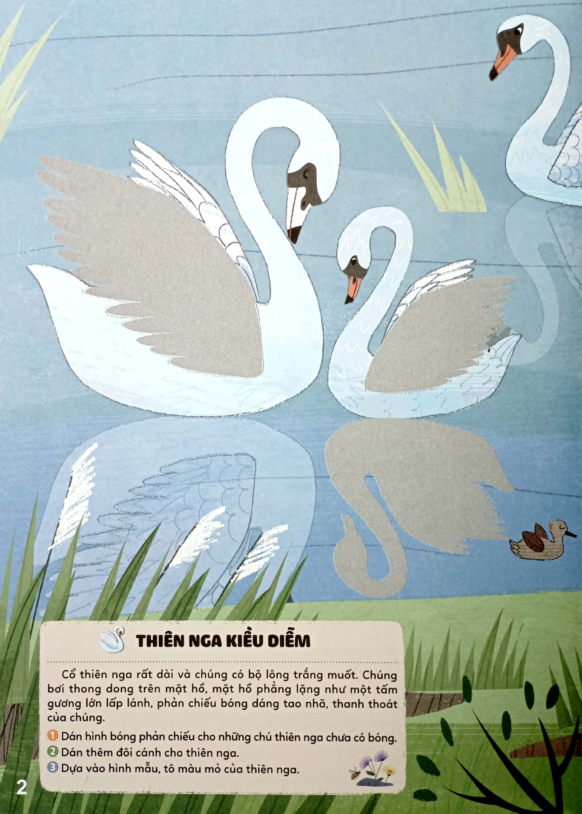bộ sticker bước vào thế giới thiên nhiên kỳ thú - tập 2 - muôn vàn các loài chim - Ảnh 4