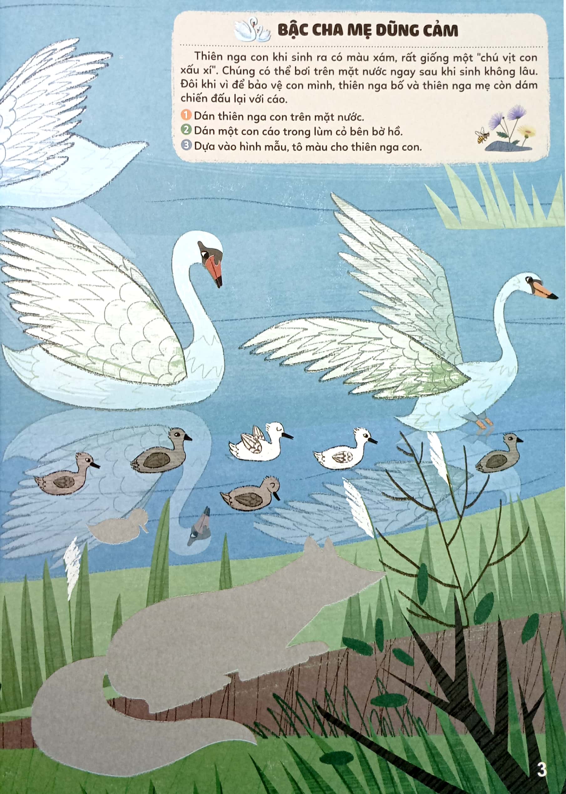 bộ sticker bước vào thế giới thiên nhiên kỳ thú - tập 2 - muôn vàn các loài chim - Ảnh 5