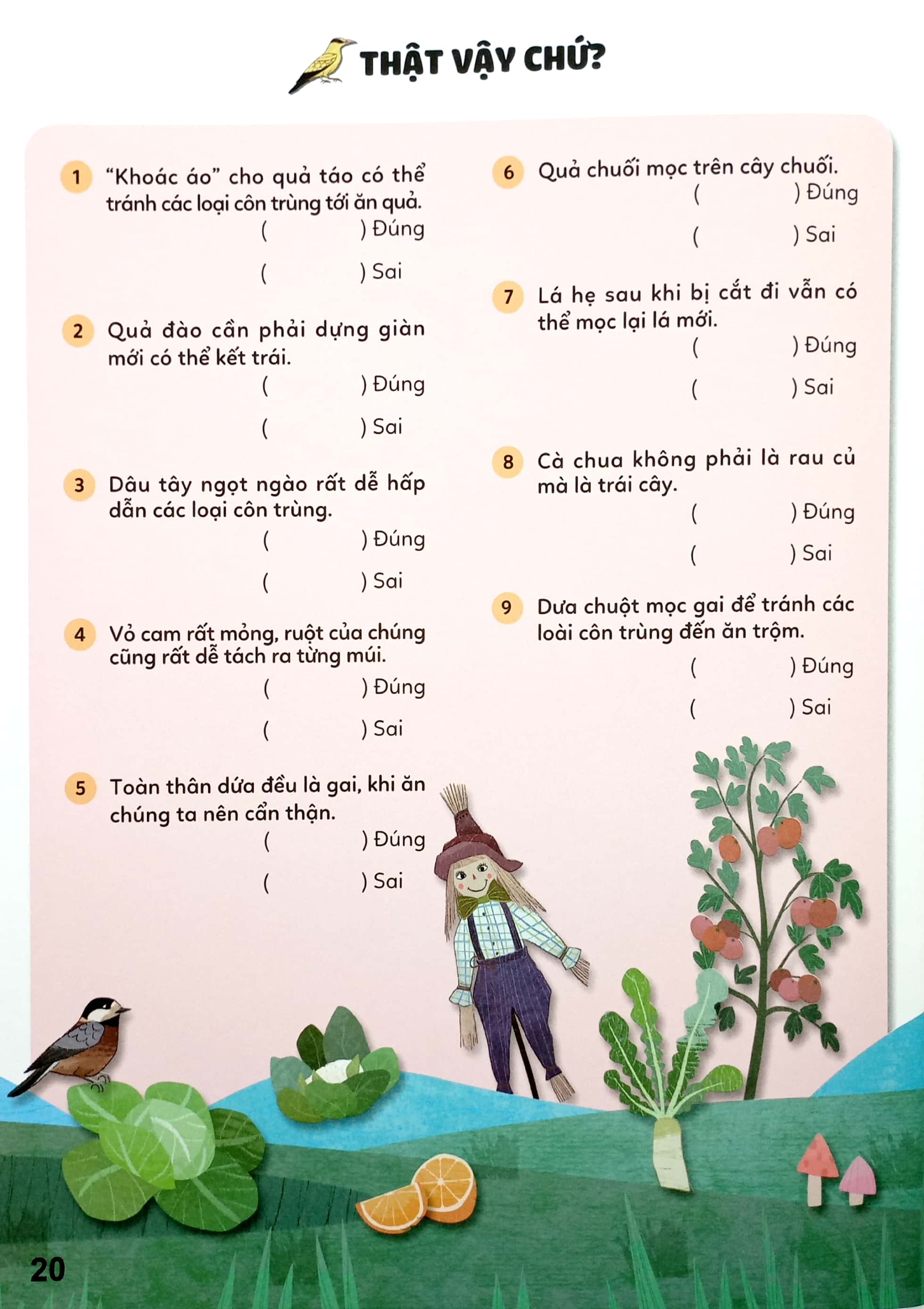 bộ sticker bước vào thế giới thiên nhiên kỳ thú - tập 2 - trái cây và rau củ - Ảnh 3