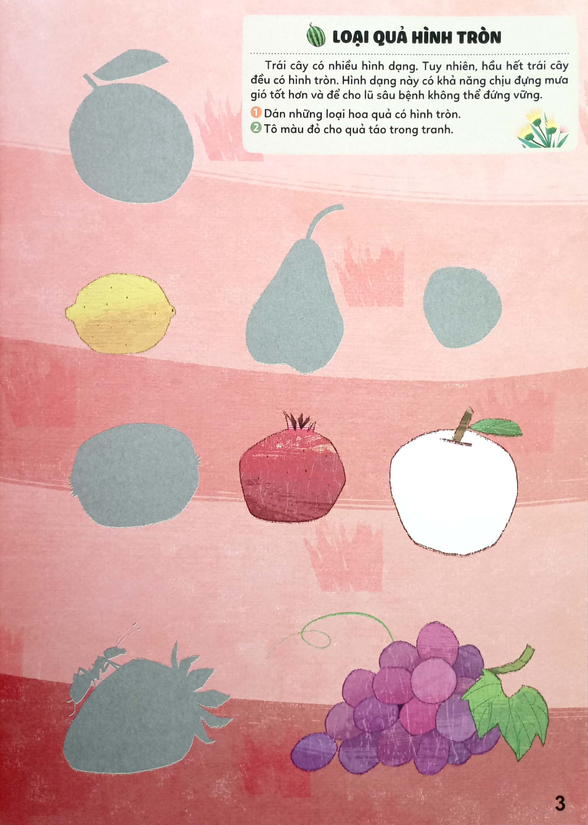 bộ sticker bước vào thế giới thiên nhiên kỳ thú - tập 2 - trái cây và rau củ - Ảnh 5