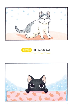 bộ sue & tai-chan 1 - Ảnh 5