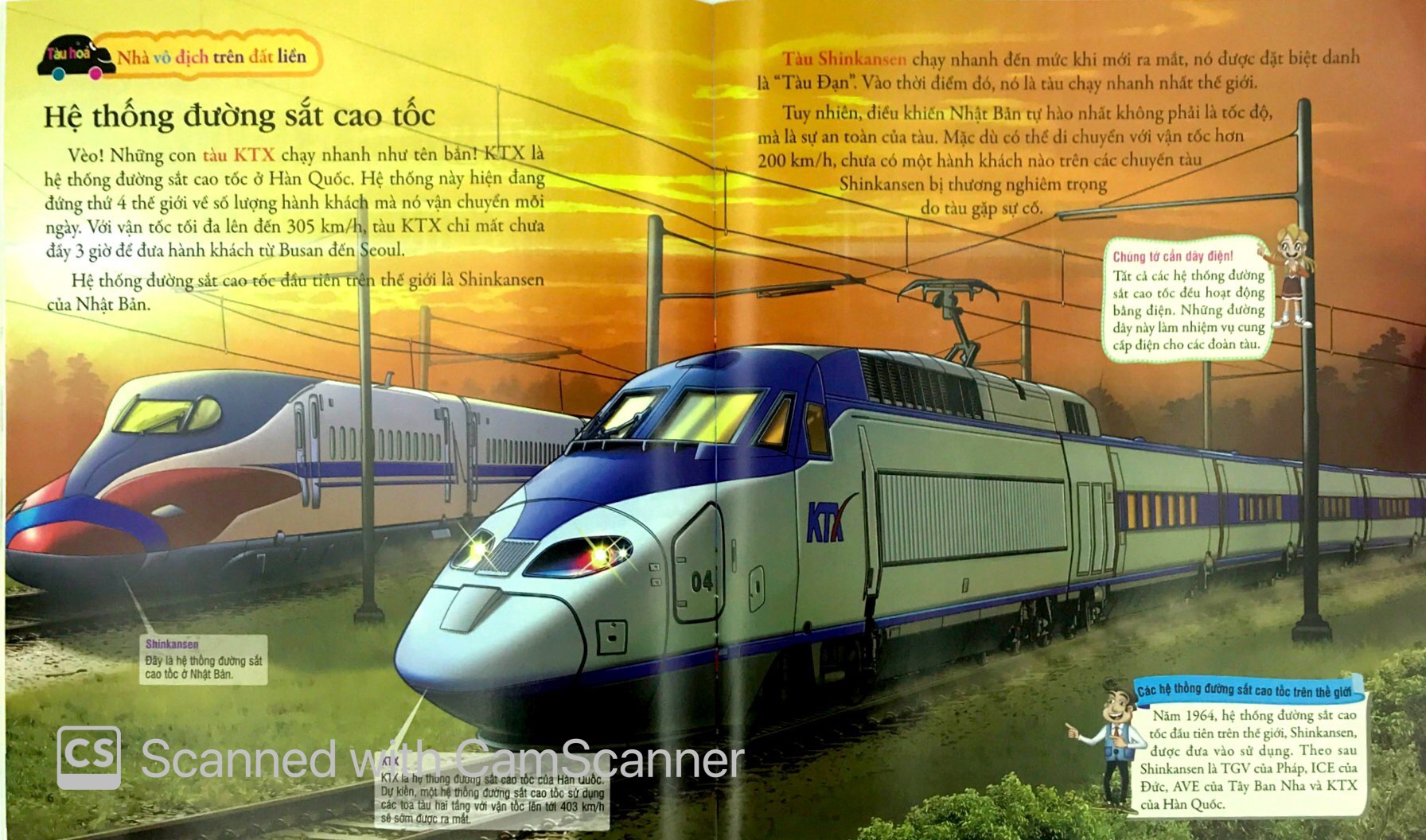 bộ sưu tập phương tiện giao thông kì thú - tàu hỏa và xe buýt trên khắp thế giới - Ảnh 3