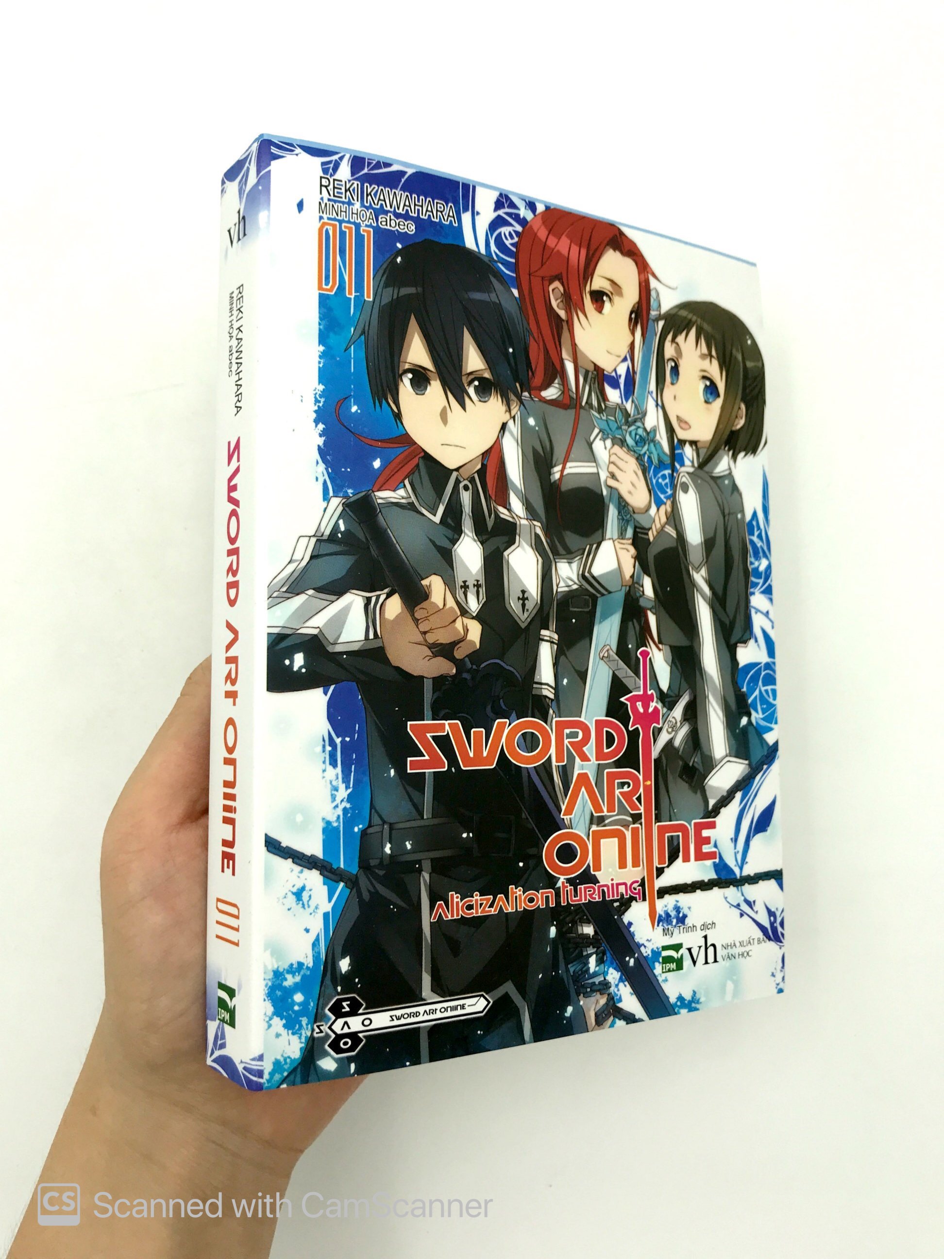 bộ sword art online 11 - Ảnh 13