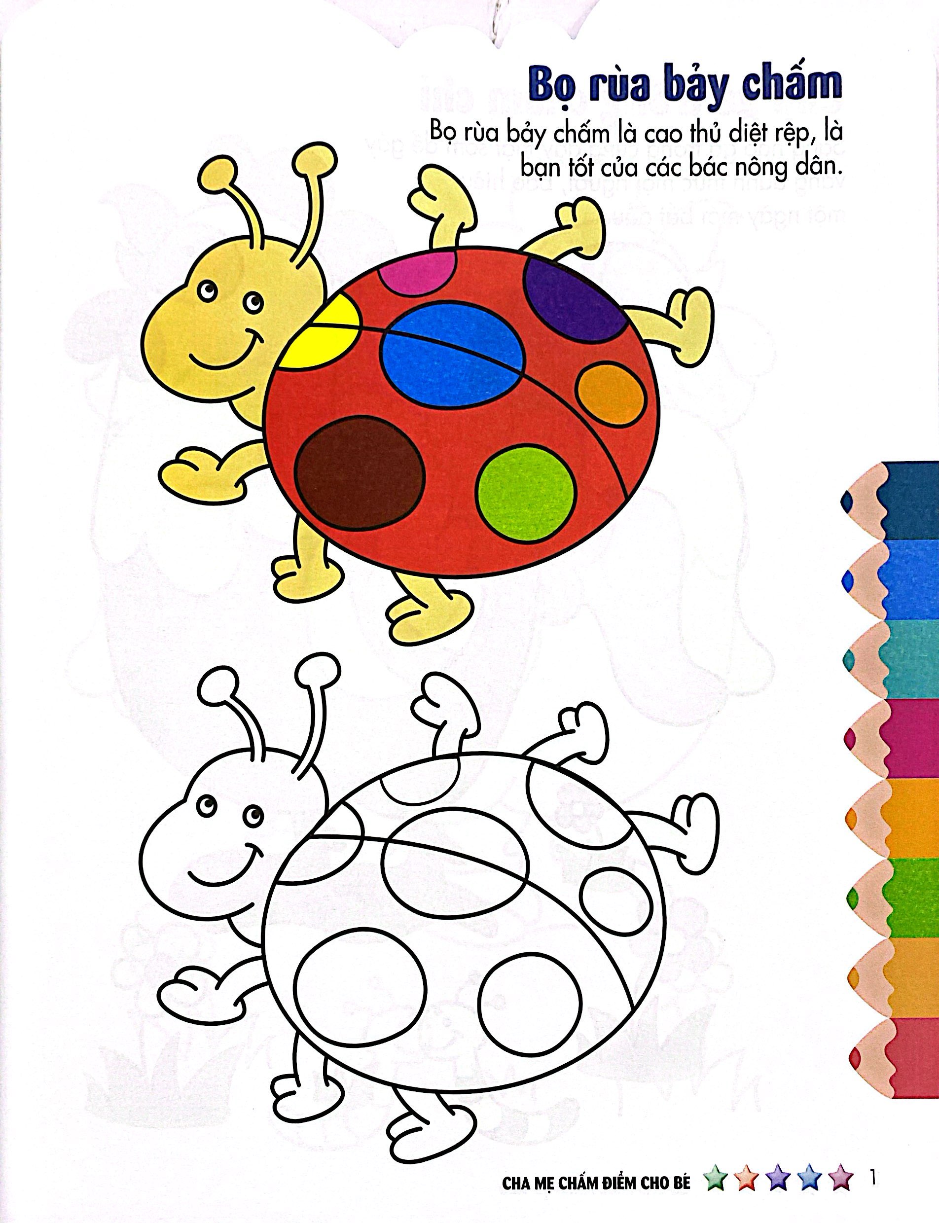 Bộ Tập Sách Tô Màu Đầu Tiên Của Bé - Cuộc Sống Muôn Màu - Tô Màu Và Dán Hình - Tập 5 - Ảnh 5