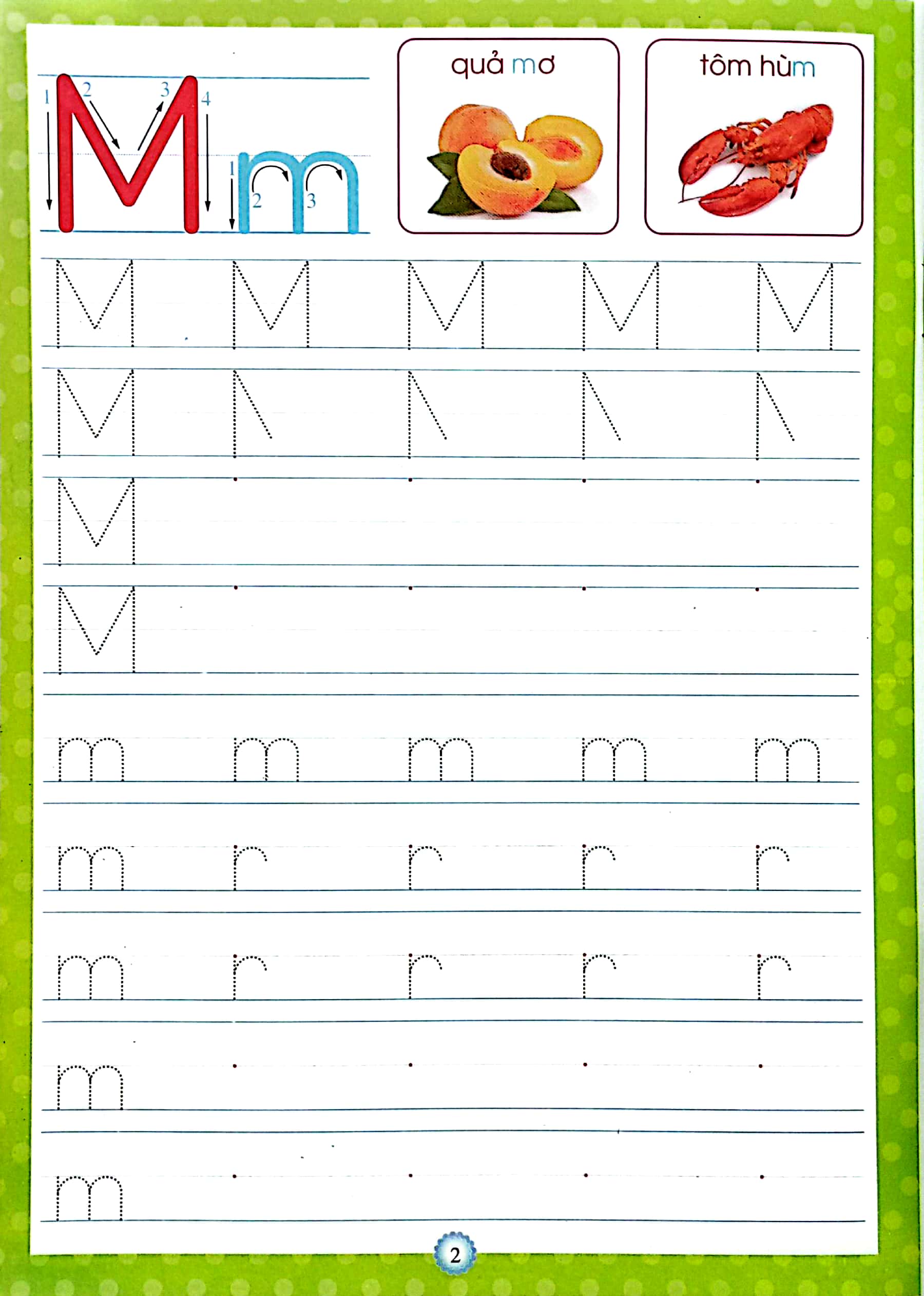 bộ tập viết chữ cái có mẫu chữ - quyển 2 (dành cho bé 4-6 tuổi) - Ảnh 3