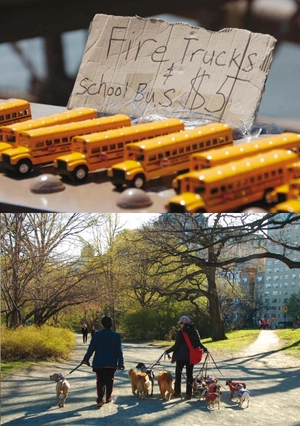 bộ teen eli readers - enjoy new york - stage 2 a2 - downloadable audio files - Ảnh 6