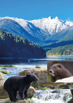 bộ teen eli readers real lives - allan: my vancouver - stage 3 b1 - downloadable audio files - Ảnh 5