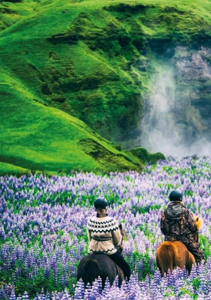 bộ teen eli readers real lives - garpur: my iceland - stage 2 a2 - downloadable audio files - Ảnh 8