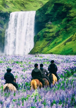 bộ teen eli readers real lives - garpur: my iceland - stage 2 a2 - downloadable audio files - Ảnh 9