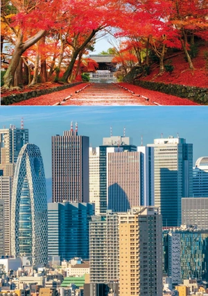 bộ teen eli readers real lives - naoko, my japan - stage 2 a2 - downloadable audio files - Ảnh 9