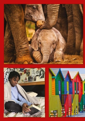 bộ teen eli readers real lives - riri: my south africa - stage 2 a2 - downloadable audio files - Ảnh 10