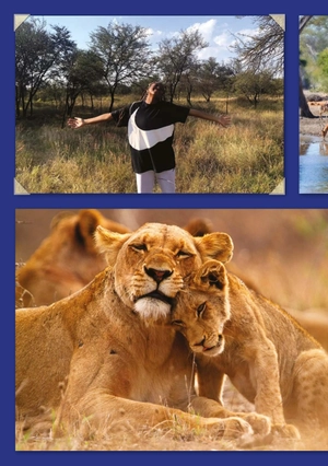 bộ teen eli readers real lives - riri: my south africa - stage 2 a2 - downloadable audio files - Ảnh 8