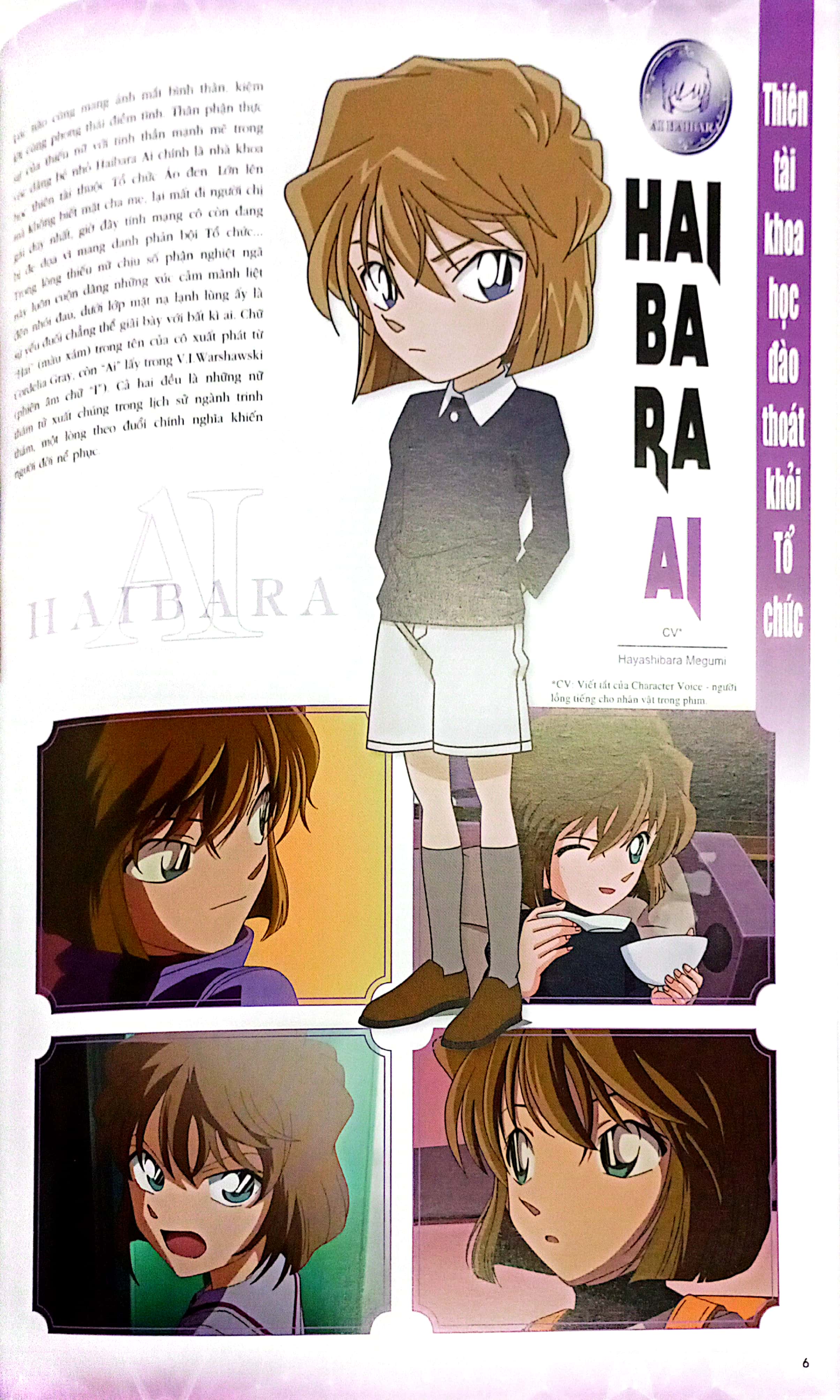 bộ thám tử lừng danh conan - hồ sơ tuyệt mật - ai haibara - Ảnh 5