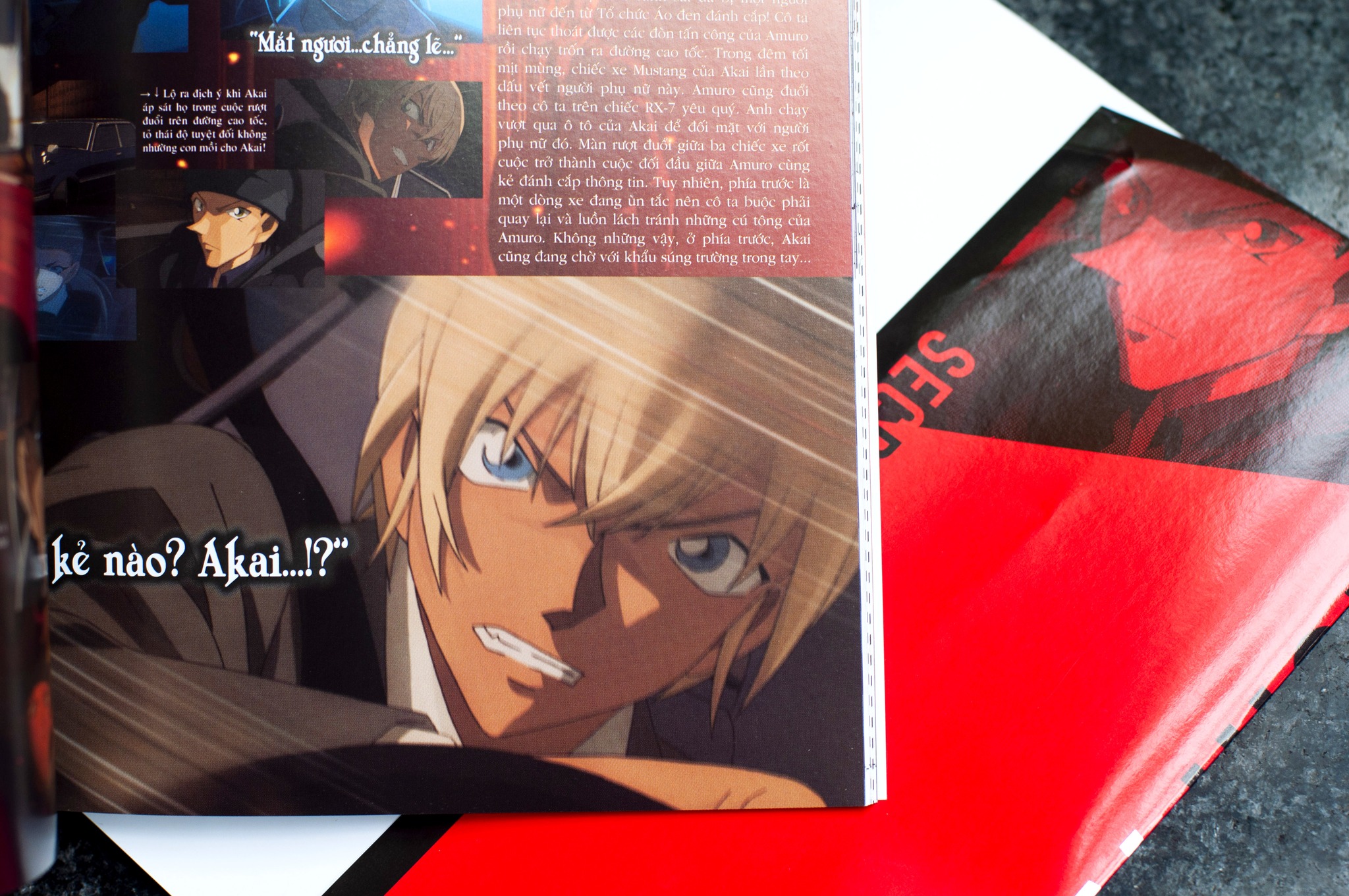 bộ thám tử lừng danh conan - hồ sơ tuyệt mật - shuichi akai & toru amuro - Ảnh 10