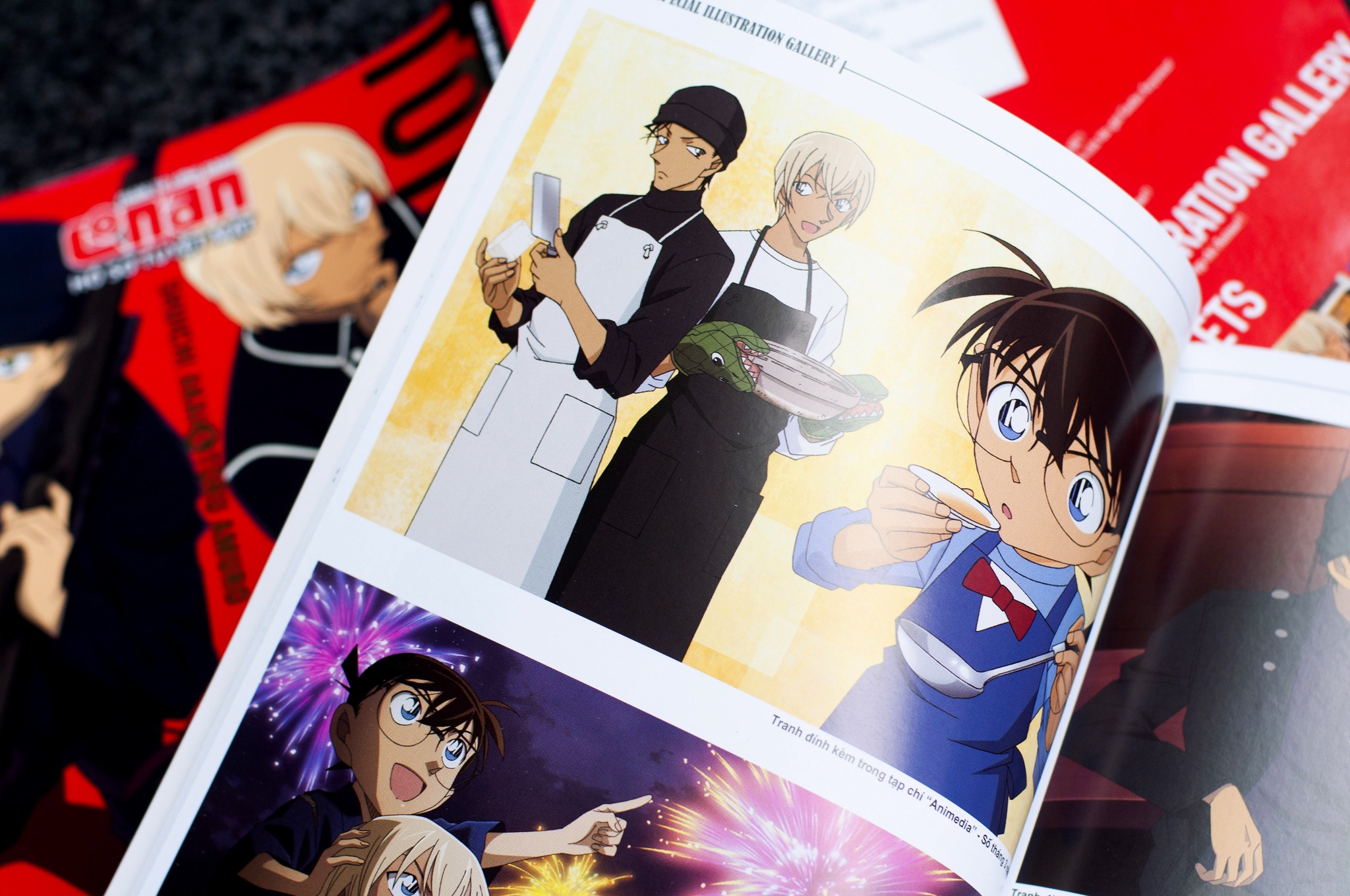 bộ thám tử lừng danh conan - hồ sơ tuyệt mật - shuichi akai & toru amuro - Ảnh 11