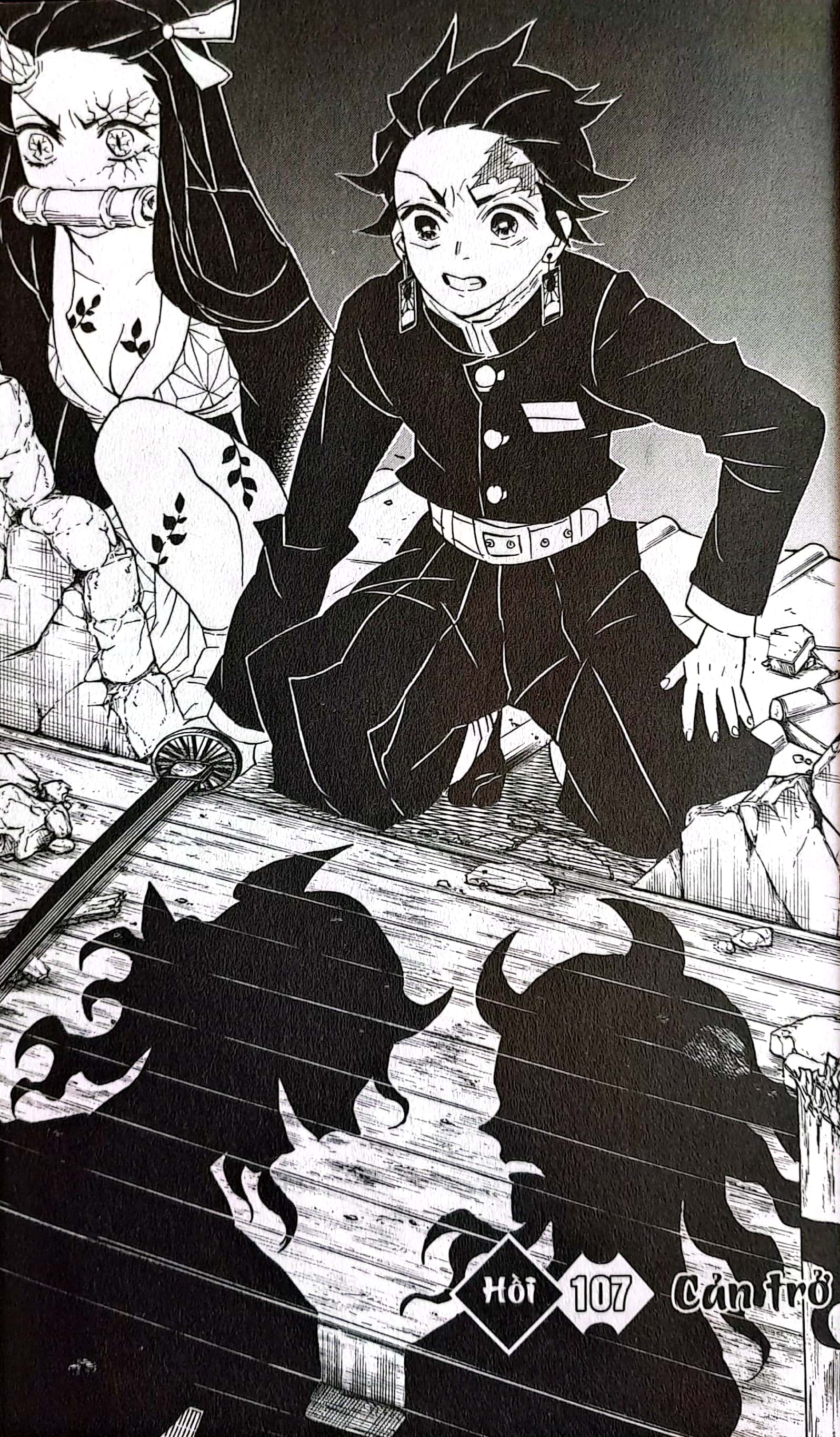 bộ thanh gươm diệt quỷ - kimetsu no yaiba - tập 13 - biến đổi - Ảnh 5