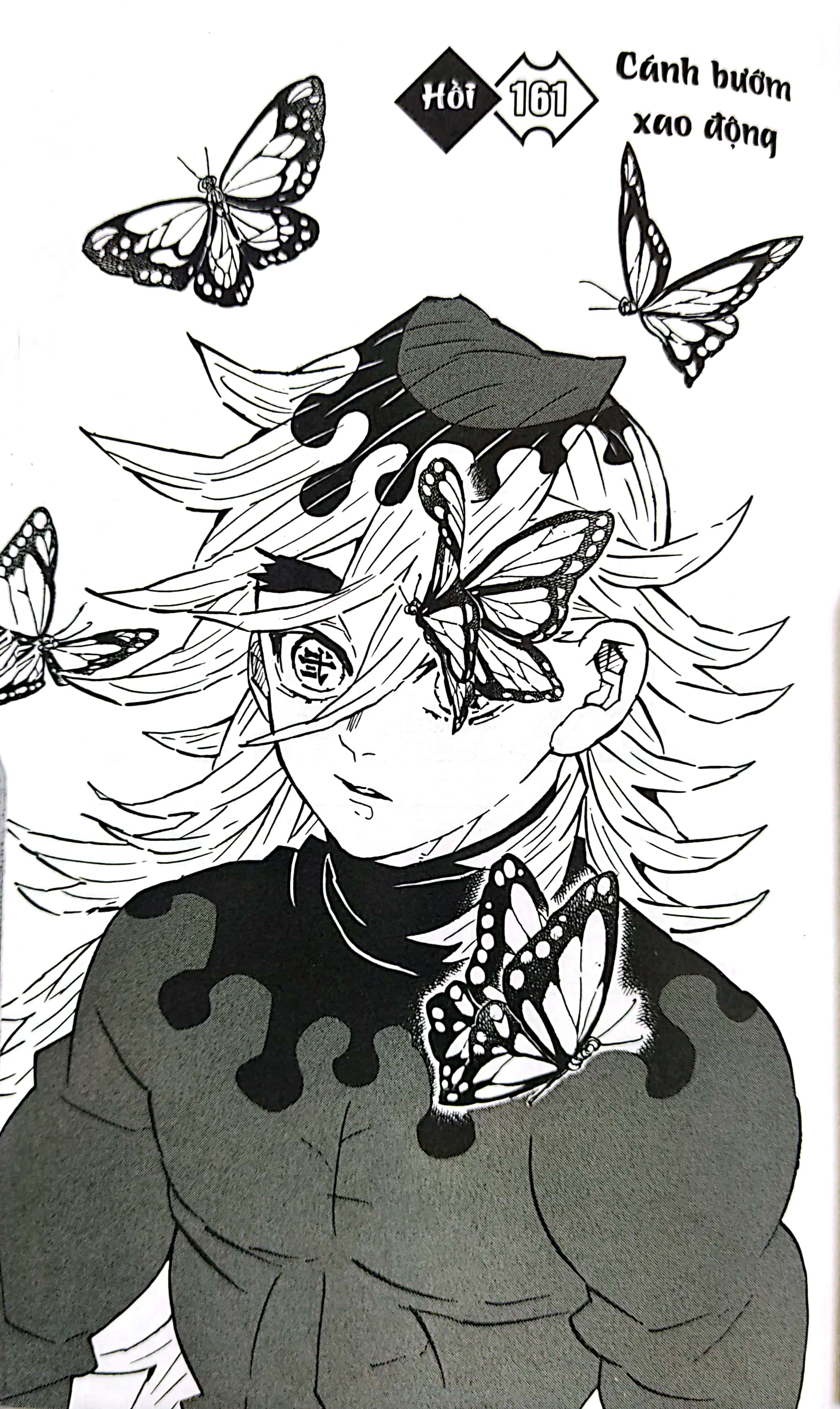 Bộ Thanh Gươm Diệt Quỷ - Kimetsu No Yaiba - Tập 19 - Cánh Bướm Xao Động (Tái Bản 2025) - Ảnh 4