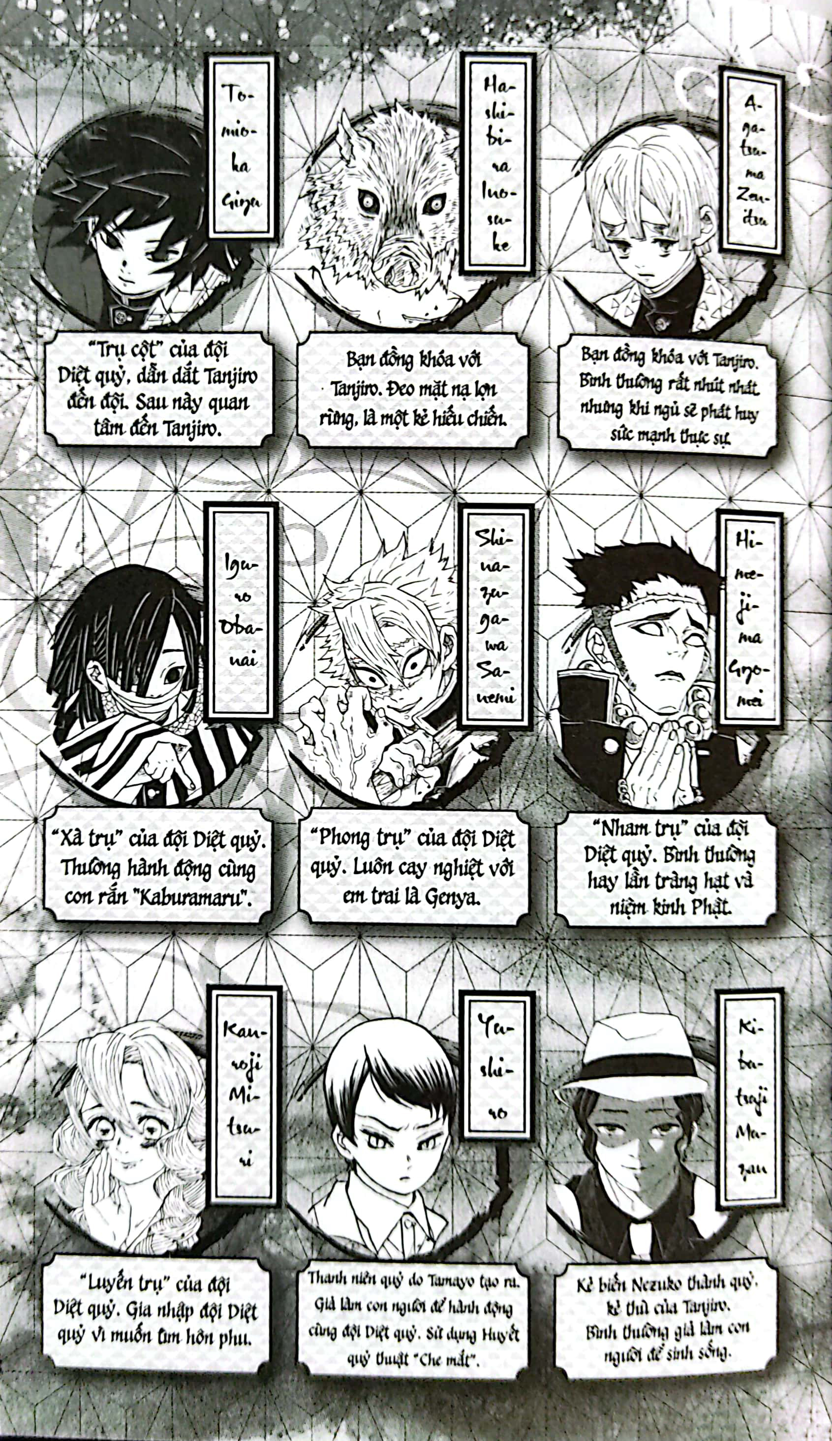 Bộ Thanh Gươm Diệt Quỷ - Kimetsu No Yaiba - Tập 23 - Vượt Qua Tháng Năm, Sinh Mệnh Tỏa Rạng (Tái Bản 2025) - Ảnh 4