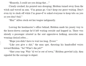 bộ the dawn of the witch 2 (light novel): the mama merchant and a premonition of love - Ảnh 5