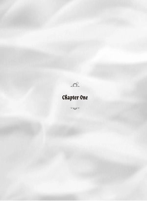 bộ the dawn of the witch 2 (light novel): the mama merchant and a premonition of love - Ảnh 6