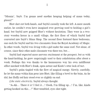 bộ the dawn of the witch 2 (light novel): the mama merchant and a premonition of love - Ảnh 7