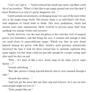 bộ the dawn of the witch 2 (light novel): the mama merchant and a premonition of love - Ảnh 8