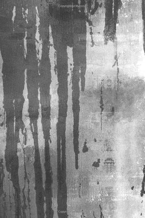 bộ the devil's engine: hellfighters: (book 2) - Ảnh 9