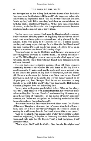 bộ the fellowship of the ring - Ảnh 4