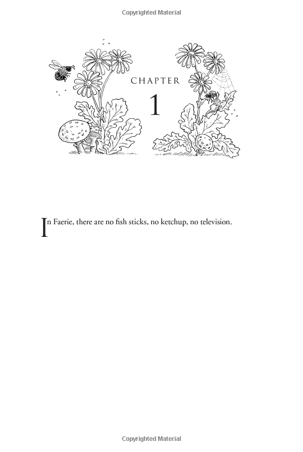 Bộ The Folk Of The Air 1: The Cruel Prince - Ảnh 11