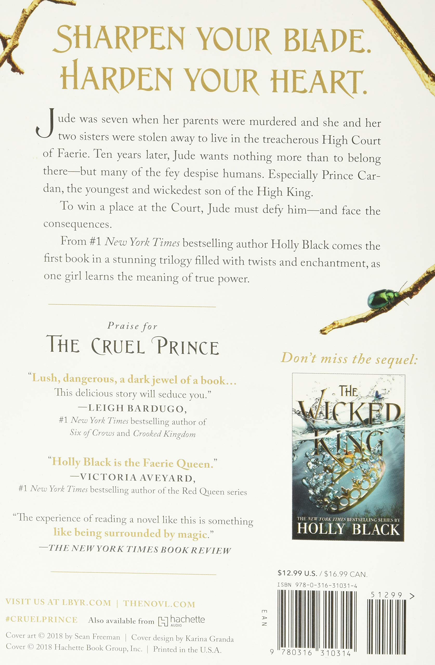 Bộ The Folk Of The Air 1: The Cruel Prince - Ảnh 14