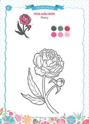 bộ thế giới loài hoa - sắc màu của bé 6 - Ảnh 8
