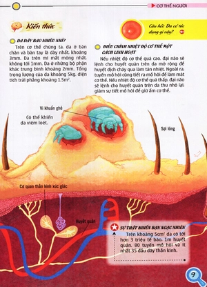 bộ thế giới những điều chưa biết (tập 5) - cơ thể người - Ảnh 11