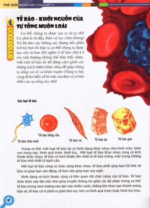 bộ thế giới những điều chưa biết (tập 5) - cơ thể người - Ảnh 6