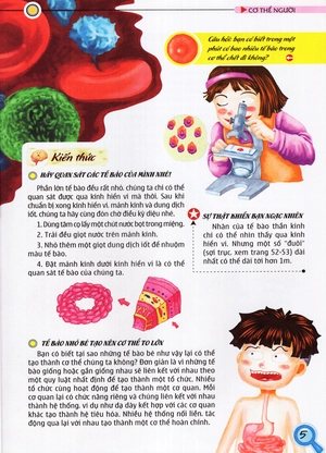 bộ thế giới những điều chưa biết (tập 5) - cơ thể người - Ảnh 7
