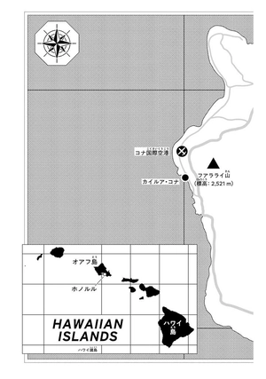 bộ the jojolands 2 - Ảnh 7