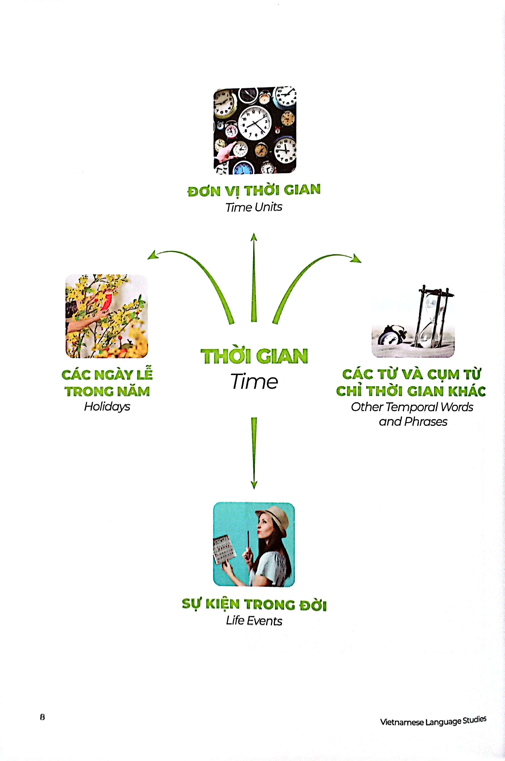 Bộ The Matic Vietnamese & English Vocabulary 2 - Ảnh 4