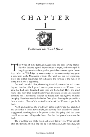 bộ the wheel of time 14: a memory of light - Ảnh 15