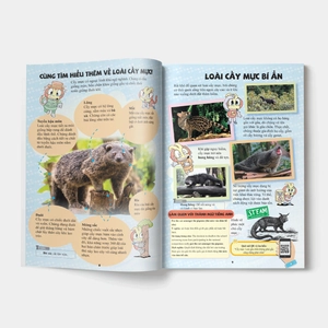 bộ the young scientist - truyện tranh khoa học cho trẻ em - level 1 - tập 2: mùi bắp rang thơm lừng trong rừng - Ảnh 6