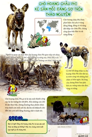 bộ the young scientist - truyện tranh khoa học cho trẻ em - level 1 - tập 5: tuyệt chiêu tán tỉnh của gà tây - Ảnh 6