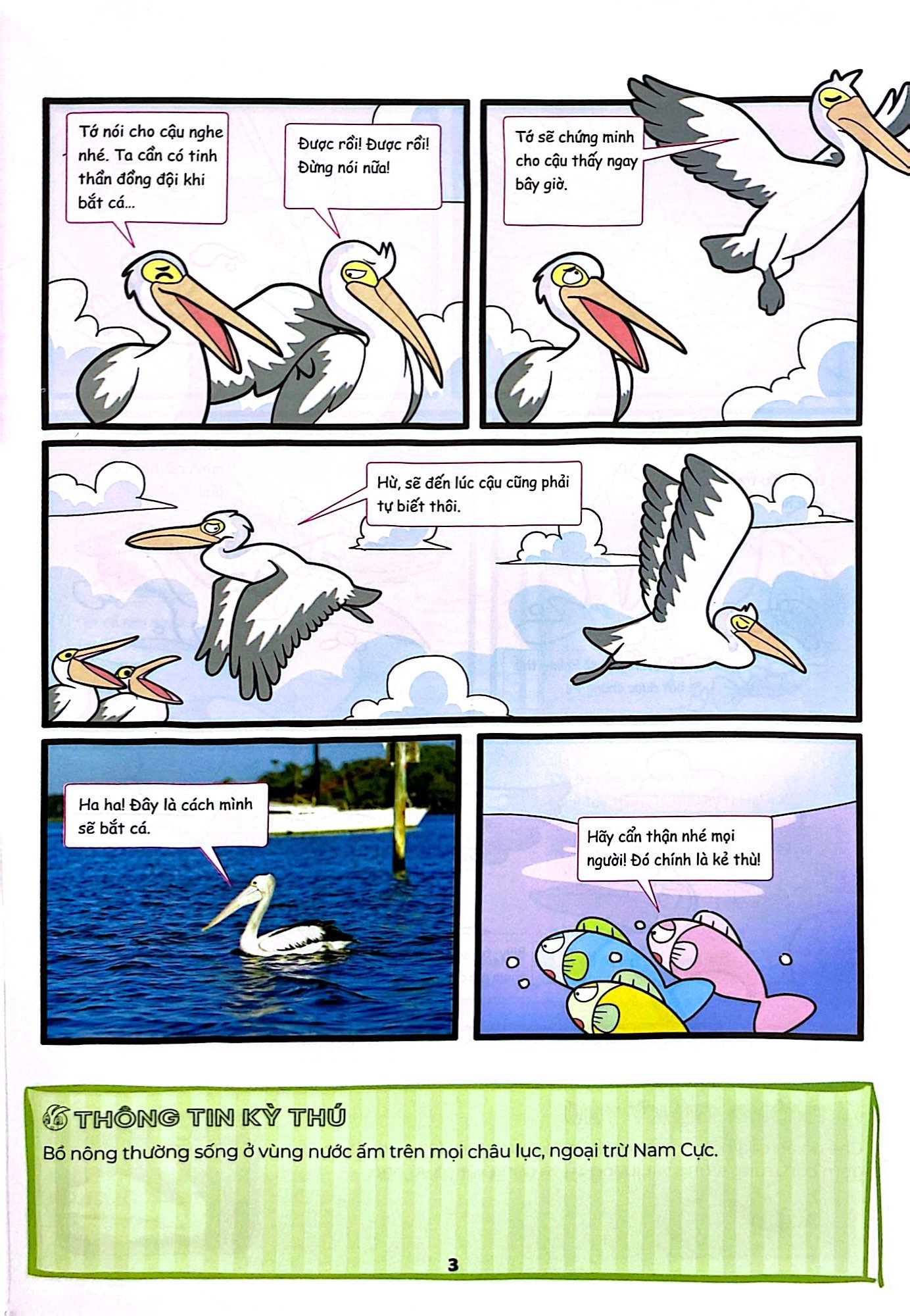 Bo
The Young Scientist - Truyen Tranh Khoa Hoc Cho Tre Em - Level 1 - Tap 8 - Bap Ngo Moc Rau That Sao? - Ảnh 6