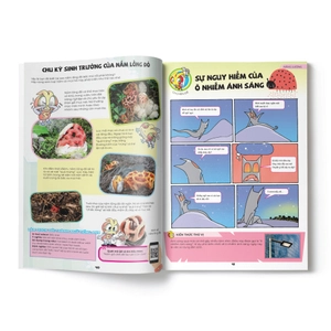 bộ the young scientist - truyện tranh khoa học cho trẻ em - level 2 - tập 1: sự nguy hiểm của ô nhiễm ánh sáng - Ảnh 6