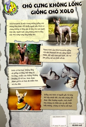 bộ the young scientist - truyện tranh khoa học cho trẻ em - level 2 - tập 7: dòng sông đã đổi hướng - Ảnh 6